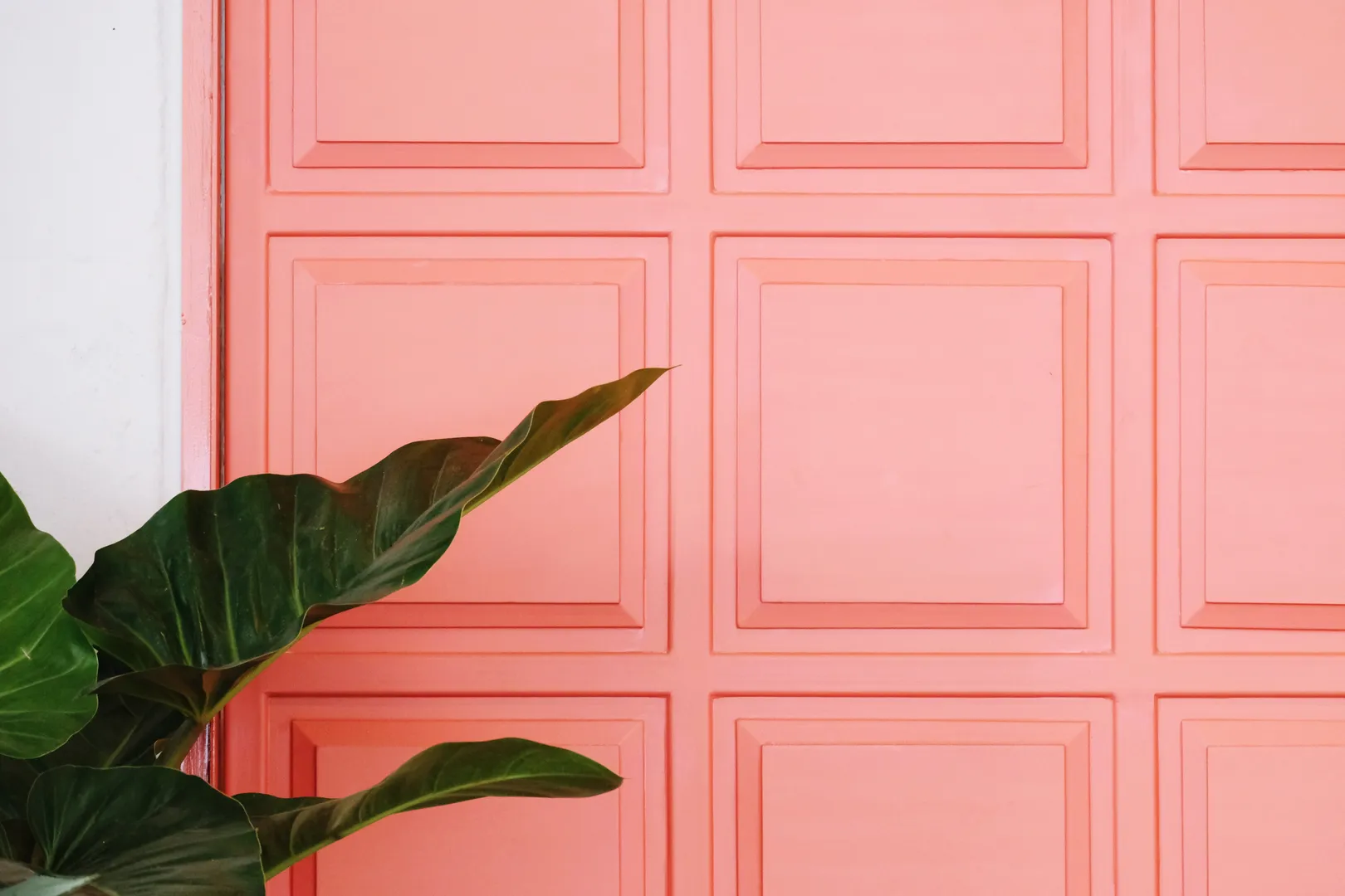 Mercan Rengi Boya ile Evinize Hayat Verin: Ankara'da Trend Renk Uygulamaları